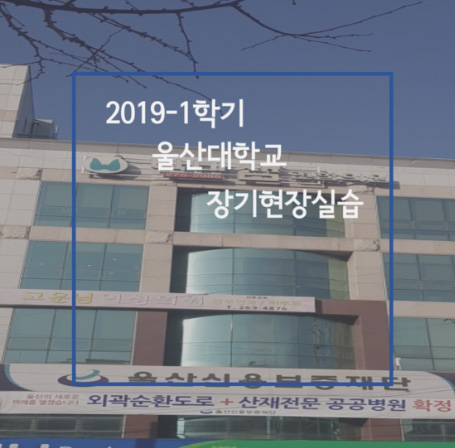 2019년 상반기 울산신용보증재단 장기현장실습생 후기